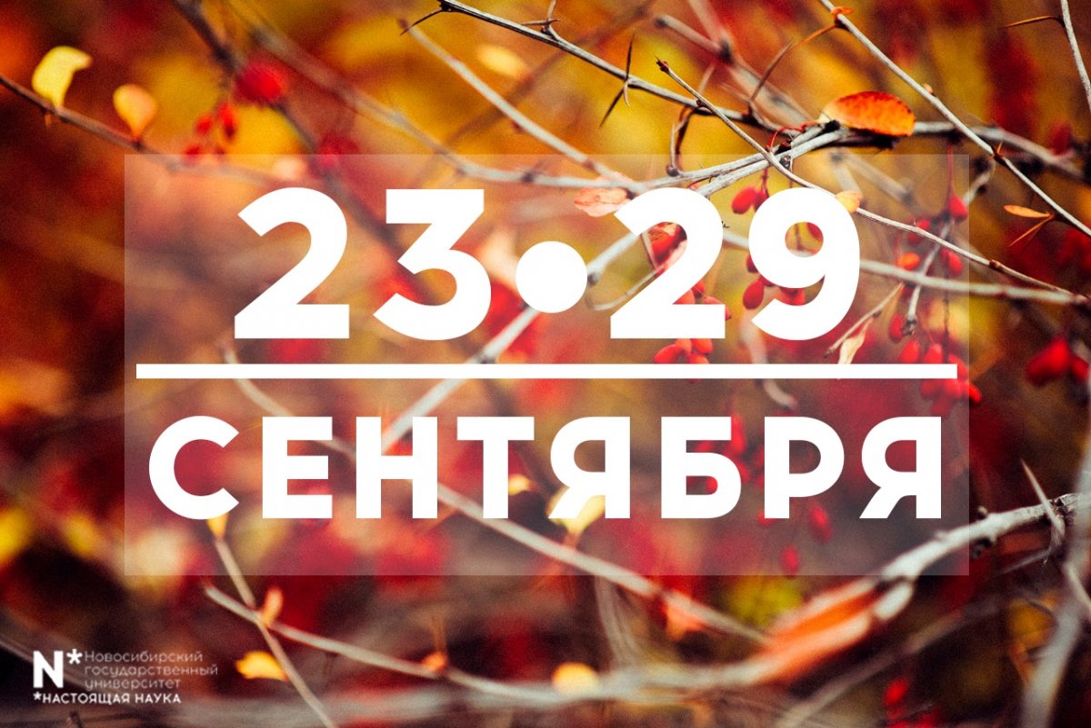 @nsu24 Новость от 24-09-2019