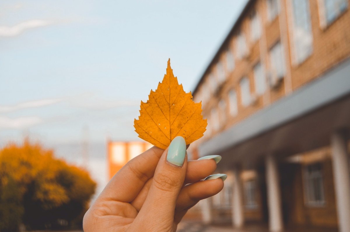 Лови осенний кампус от Алёны Скуратовой 🍁 Наслаждайся и вдохновляйся 🥰