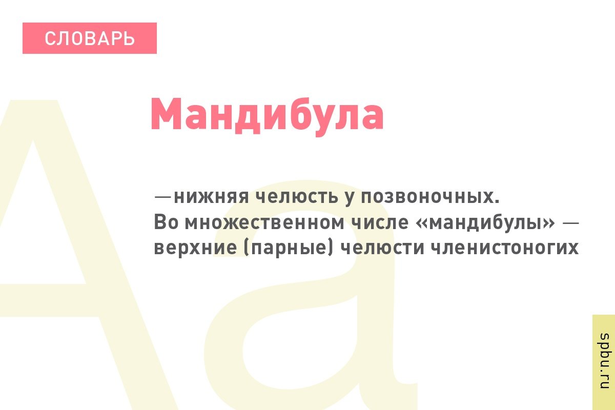  Новость от 28-09-2019