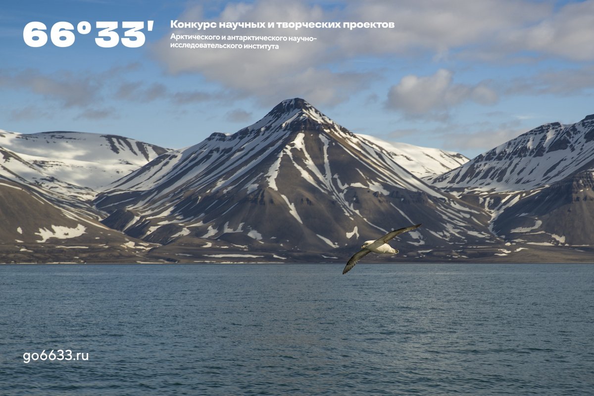Арктический и антарктический институт запускает конкурс научных и творческих проектов 66°33'.