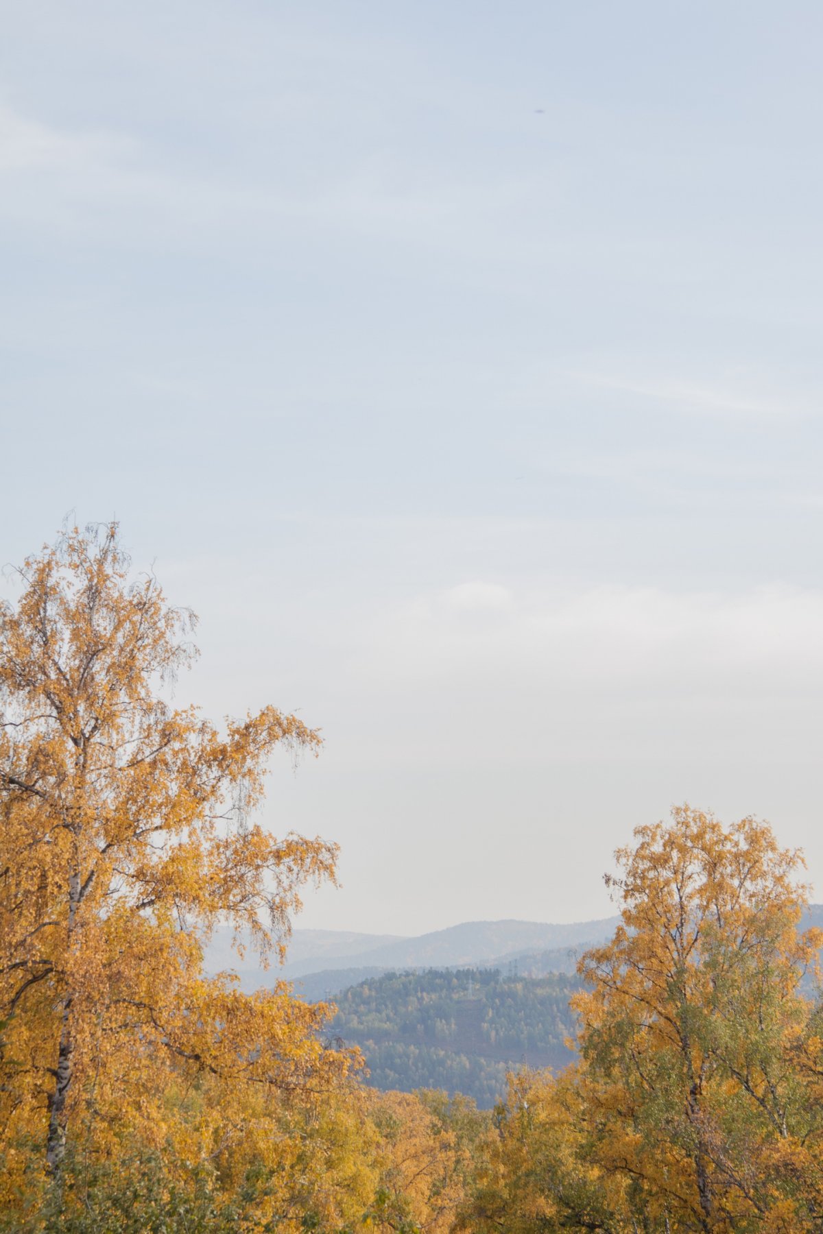 Вот сегодняшняя осень нам нравится 🍂 Солнышко пригревает в окно учебных аудиторий так, что хочется поскорее закончить контрольные, лекции и коллоквиумы и отправиться на улицу ловить тёплые лучики 🌞 Вот сегодняшняя осень нам нравится 🍂 Солнышко пригревает в окно учебных аудиторий так, что хочется поскорее закончить контрольные, лекции и коллоквиумы и отправиться на улицу ловить тёплые лучики 🌞
