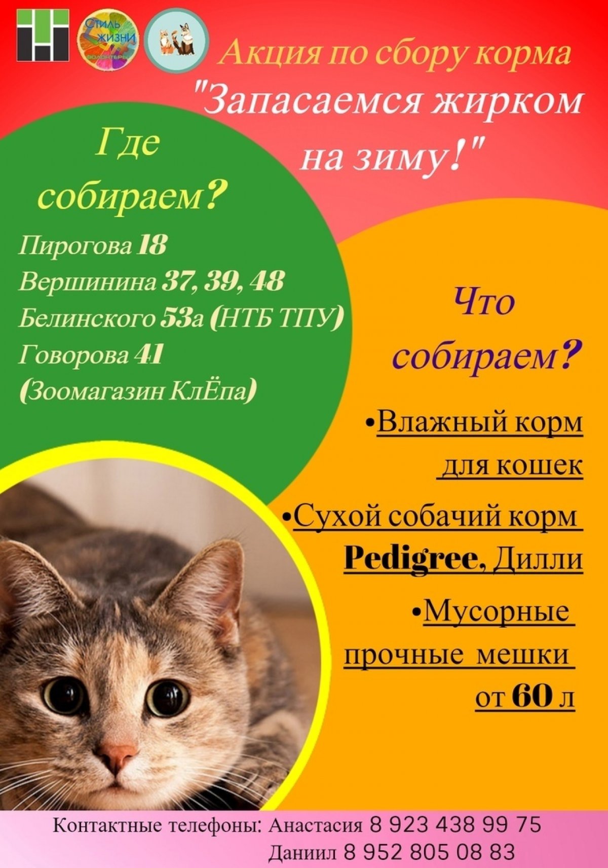 Поможем хвостатым! 🐈🐕 Поможем хвостатым! 🐈🐕