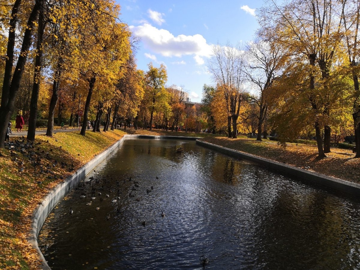 Золотая осень в Сеченовском Университете 💛