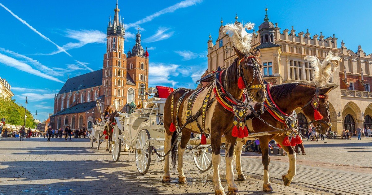 🎀 Центр славянских языков и культур НГЛУ приглашает на курсы польского языка 🎀