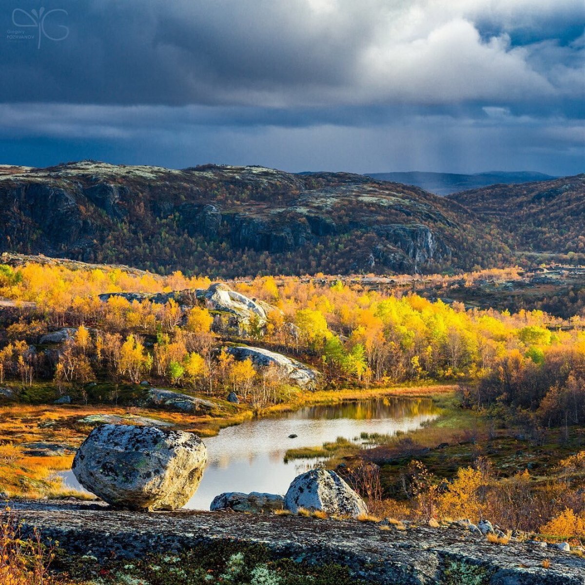 Из экспедиций ученых