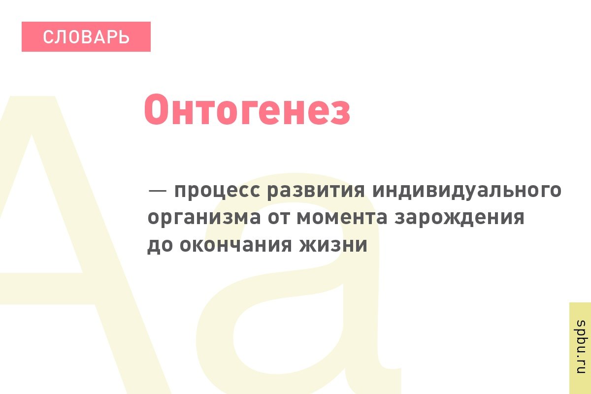  Новость от 13-10-2019