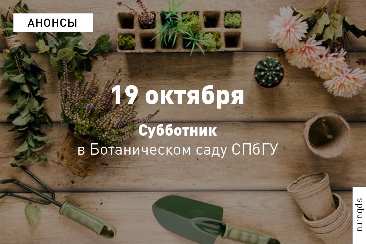 Любоваться золотой осенью и помогать полезным делом? Просто! Вместе с с эко-активистами .