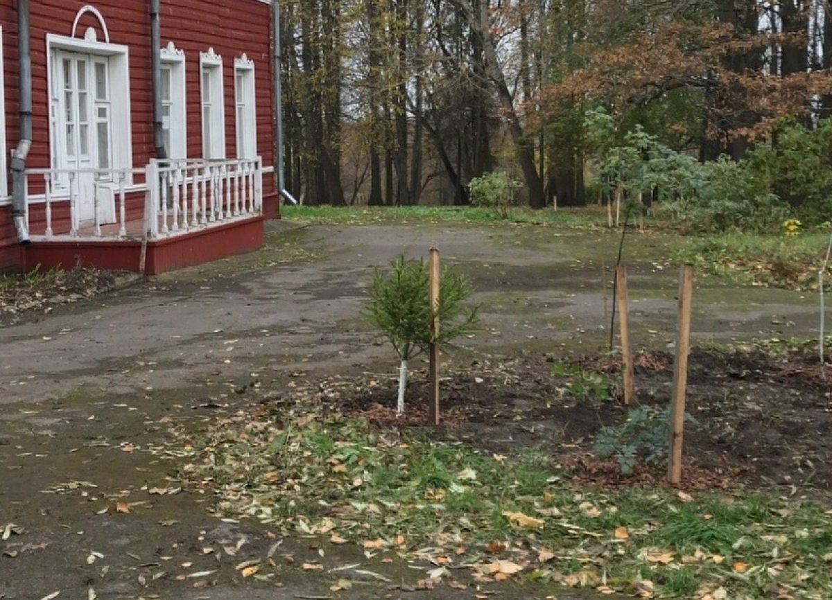 @vgmha Новость от 17-10-2019