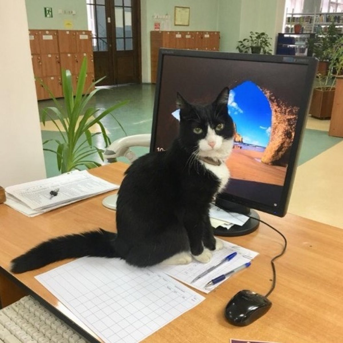 Внимание ⚠ Новость от 23-10-2019