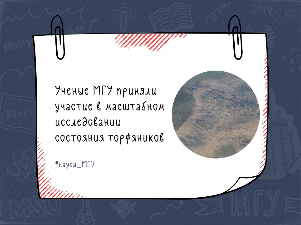 Торфяники представляют особый тип экосистемы с высокой влажностью