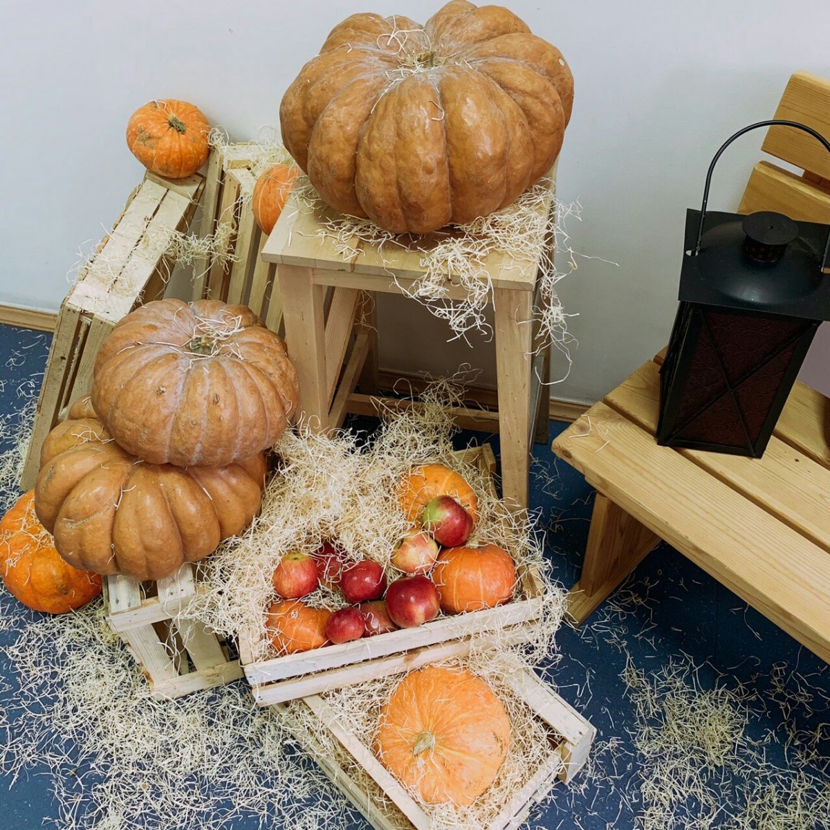 Мы напоминаем вам о фотоконкурсе ТыкваFest! Делайте фотографии у нашей уютной фото-зоны (2 этаж) и выкладывайте фото в Инстаграм под хештегом , отмечайте аккаунт института @midis_74 !