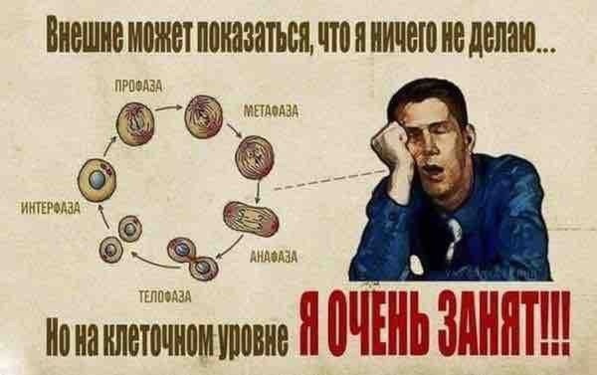 Новость от 25-10-2019