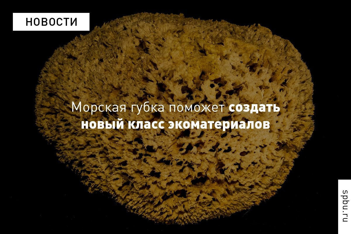 Экстремальная биомиметика — новая отрасль междисциплинарных исследований, результаты которой востребованы от медицины до космических технологий. Учёные, применяющие этот метод, создают искусственные материалы, имитирующие свойства биологических Экстремальная биомиметика — новая отрасль междисциплинарных исследований, результаты которой востребованы от медицины до космических технологий. Учёные, применяющие этот метод, создают искусственные материалы, имитирующие свойства биологических