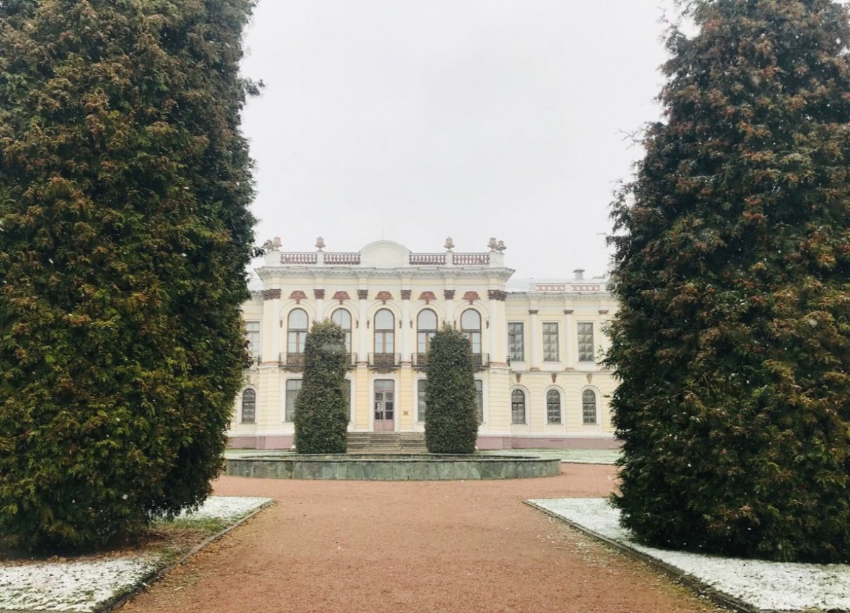 ❄ Первый снег в Тимирязевке - это красиво!