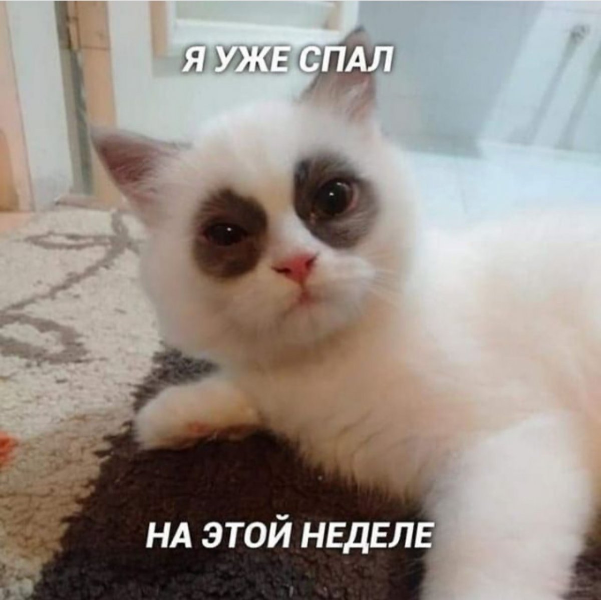 Новость от 07-11-2019