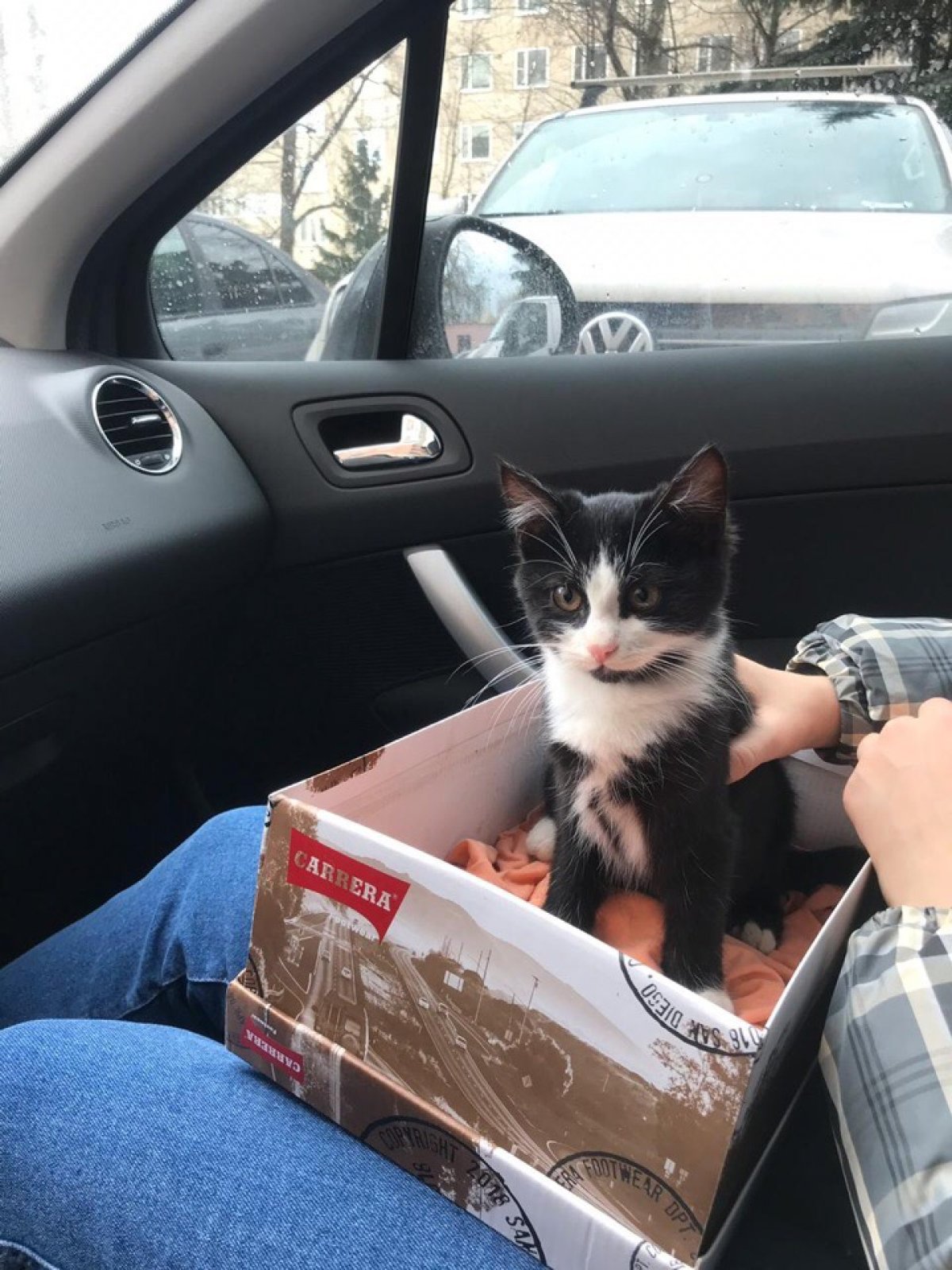 СРОЧНО ! Новость от 09-11-2019 СРОЧНО ! Новость от 09-11-2019