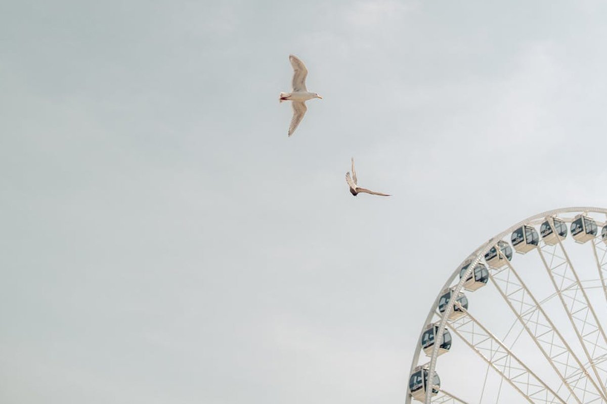 Группа психологической поддержки – это пространство для обсуждения причин возникновения трудностей и получения опыта по их преодолению