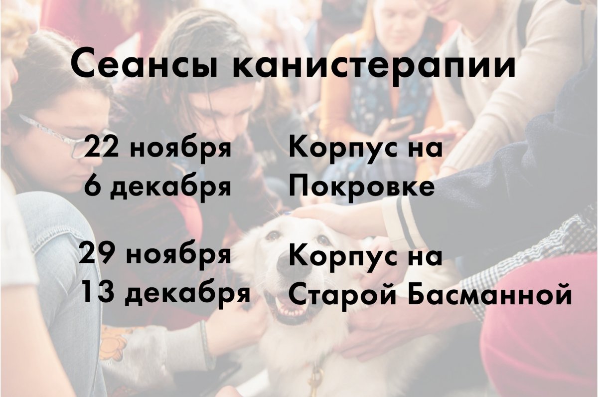 Собаки-терапевты возвращаются: есть четыре возможности погладить хороших мальчиков и девочек. Один сеанс канистерапии будет длиться 30 минут Собаки-терапевты возвращаются: есть четыре возможности погладить хороших мальчиков и девочек. Один сеанс канистерапии будет длиться 30 минут