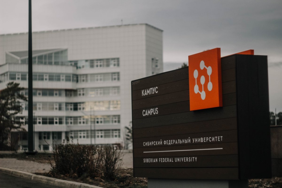 Только вперёд 🔝