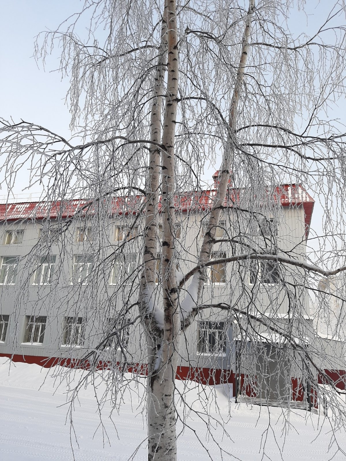 Есть такие прекрасные утра, когда можно не расставаться с кроваткой