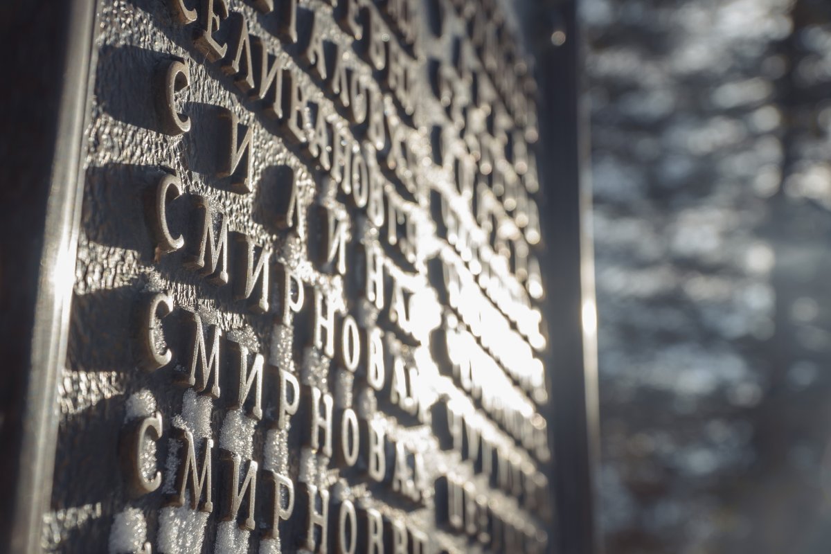 @vgmha Новость от 28-11-2019