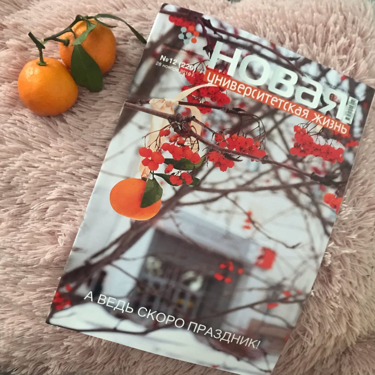 Что-то новенькое 🤔