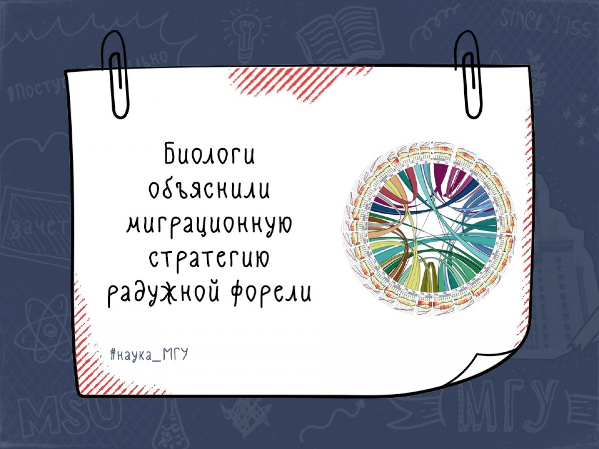 Результаты исследования помогут в разработке стратегии охраны вида и искусственного воспроизводства ценных видов рыб