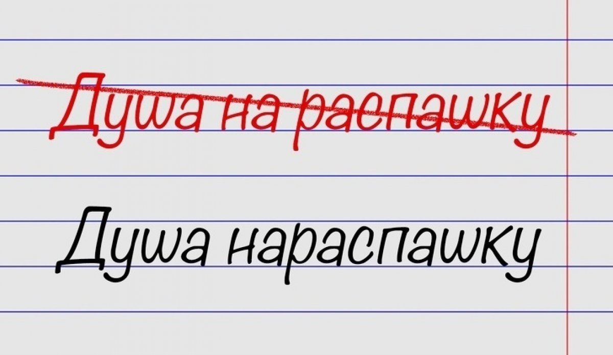 Подборка выpaжeний, в которых oшибaется большая часть людей 🤓