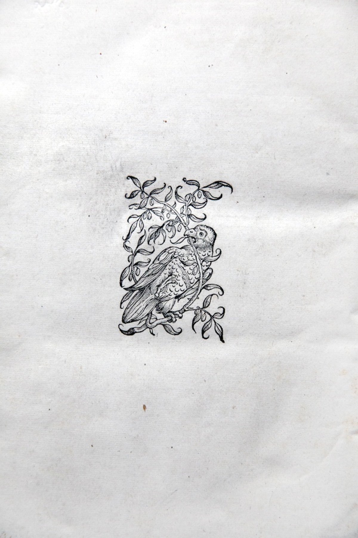 (отдел редких книг и рукописей)