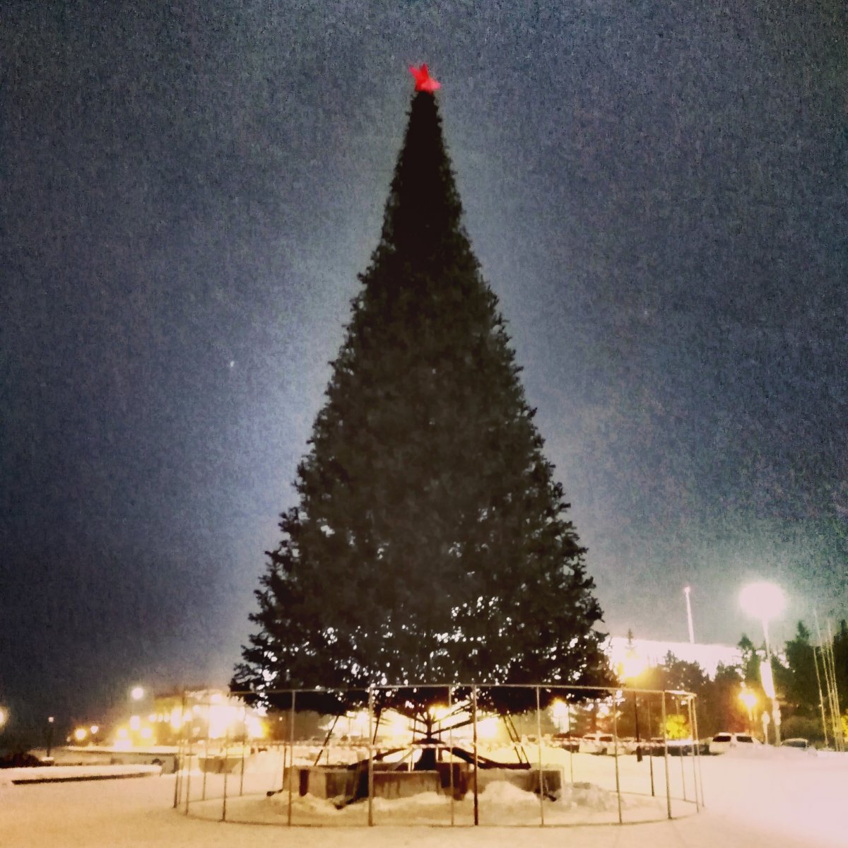 Как настроение, политехники?