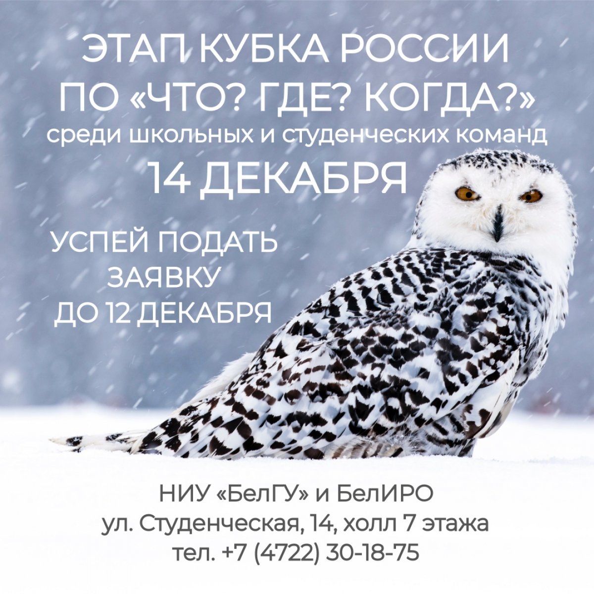 Осталась неделя до конца приёма заявок на открытый турнир по в НИУ «БелГУ»!