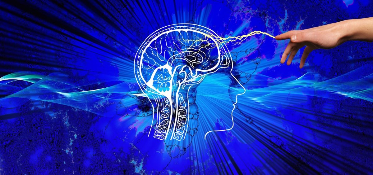 ✅Ученые Самарского университета создали доступный всему миру программный комплекс для исследований в области мозга!