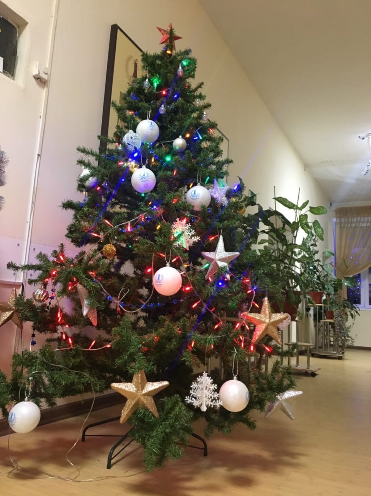 Помните, как в детстве все мы ждали новогодних чудес и верили, что этот добрый волшебник принесет нам самый заветный и желанный подарок?🎁