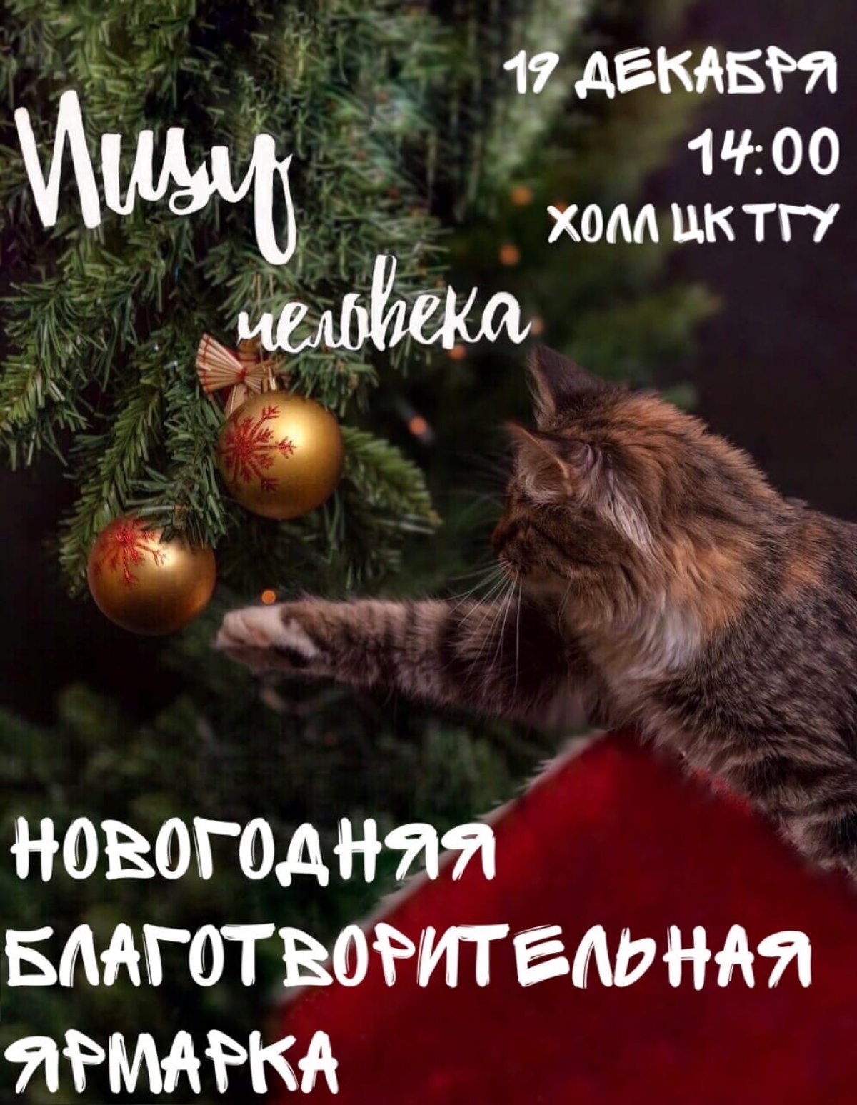 @tomskuniversity