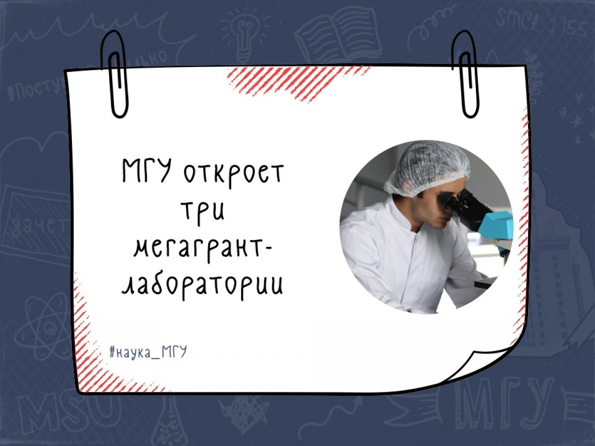 В число победителей 7-го конкурса на получение мегагрантов для господдержки научных исследований вошли Кристина Квашнина, Апостолос Авгеропулос и Юрий Подладчиков, которые планируют создать новые лаборатории в МГУ