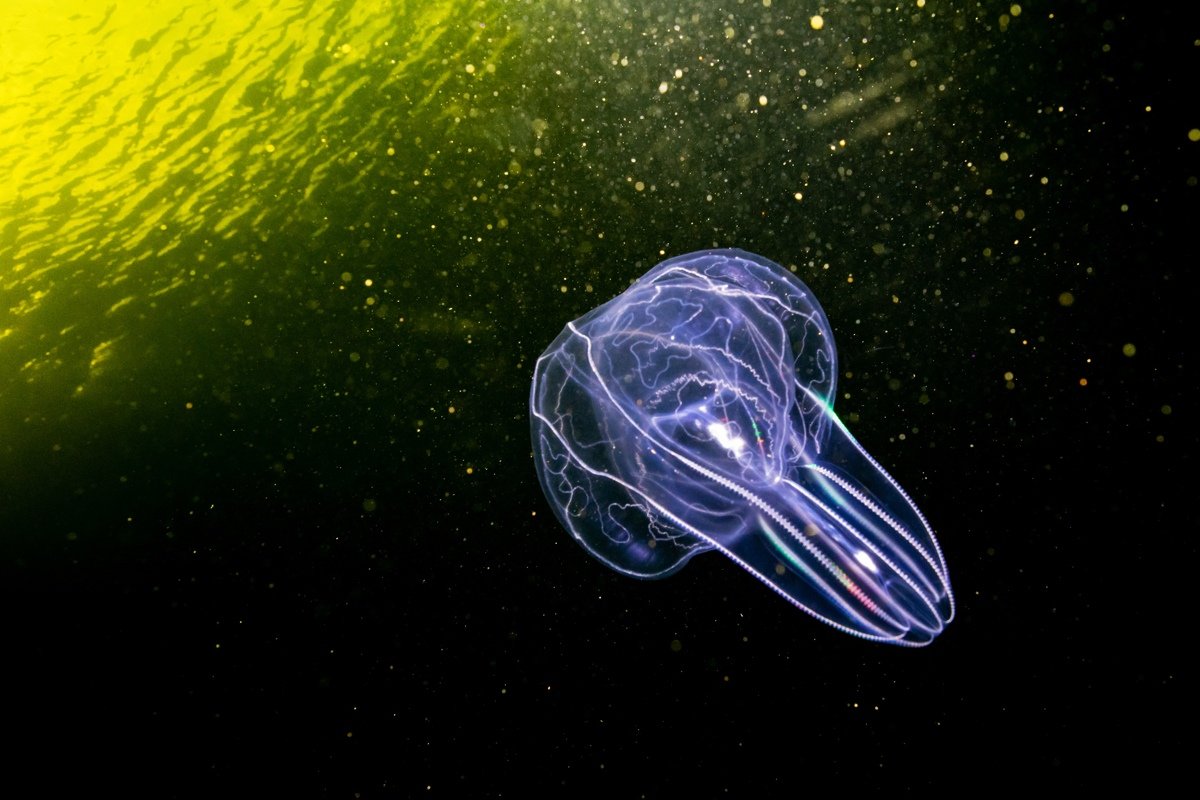  Новость от 22-12-2019