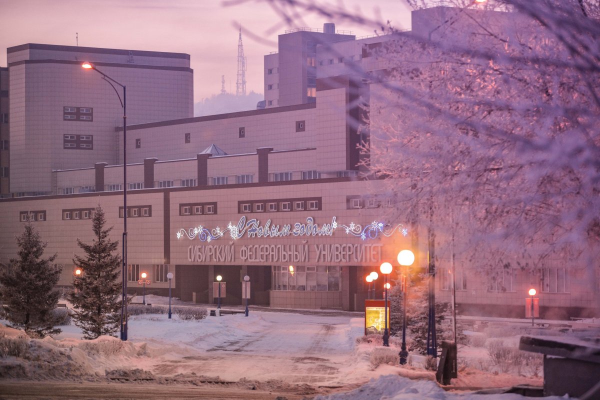 Зима вернулась! ☃