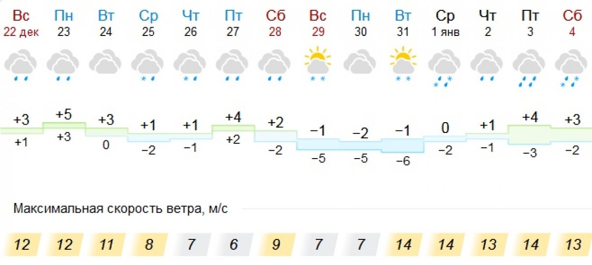 Последние дни 2019 года удивляют нас теплом и сыростью. Синоптики отмечают, что такая погода больше характерна для стран южной Европы, чем для территории центральной России. А вы рады неожиданному теплу?