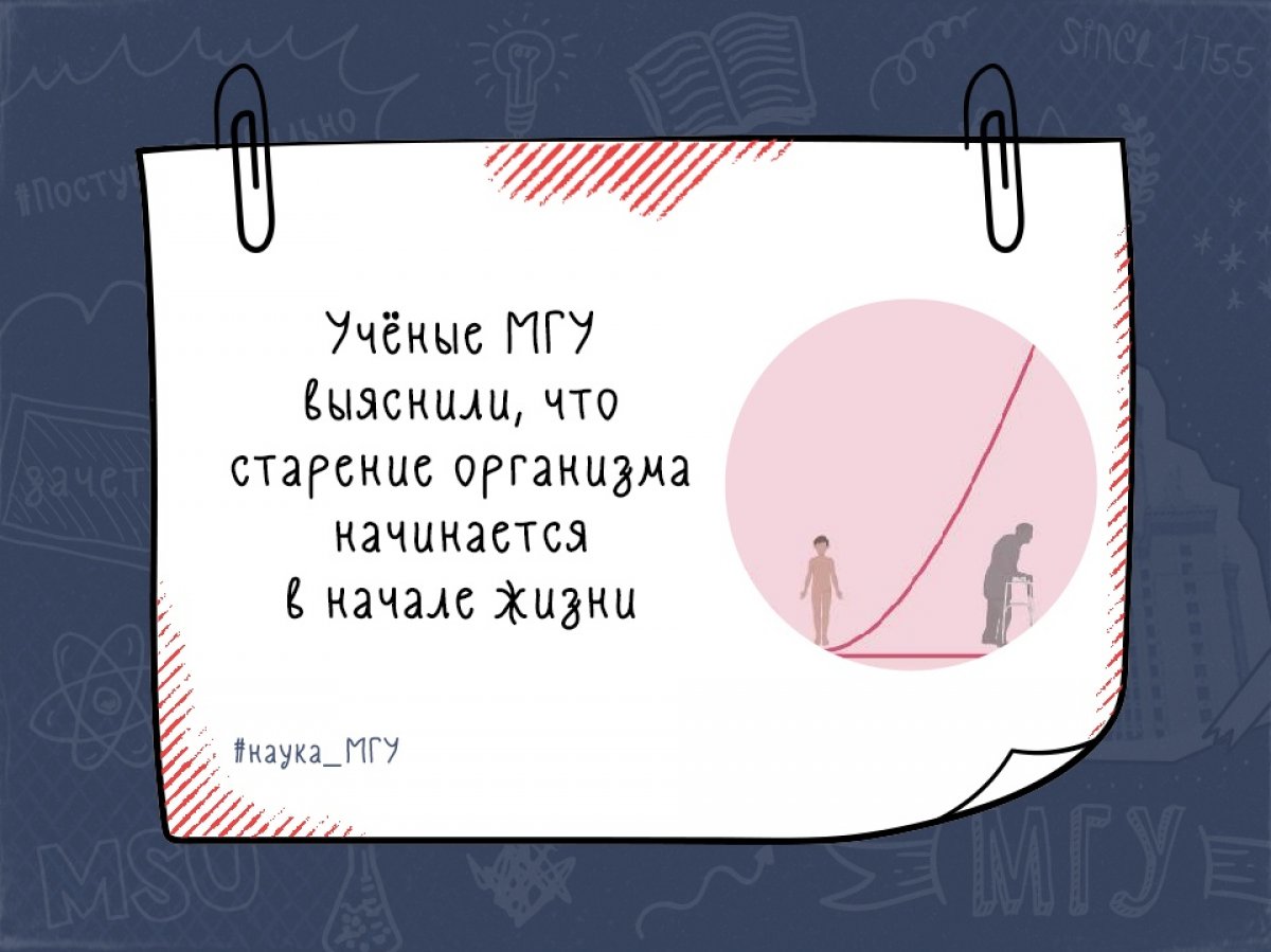 Ученые отметили