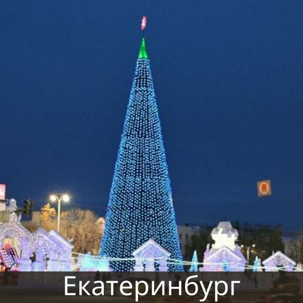 Самые высокие главные елки: топ-10 городов России 🎄