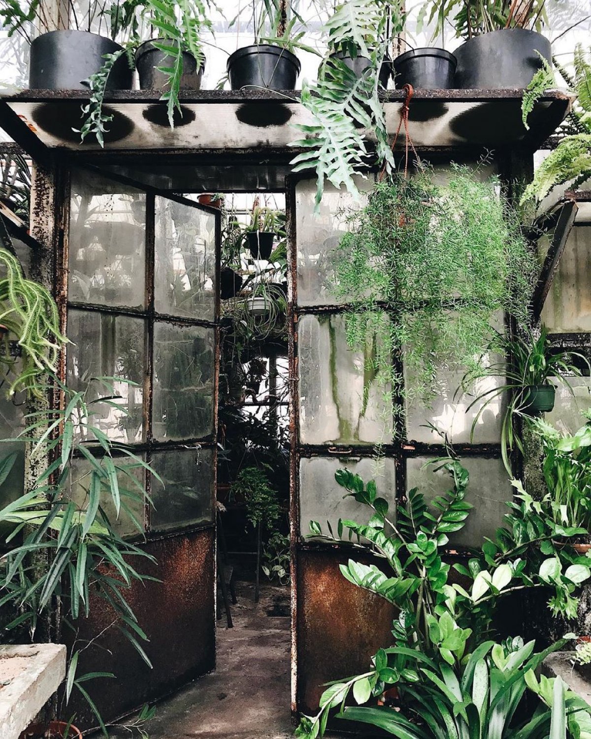 Ботанический сад