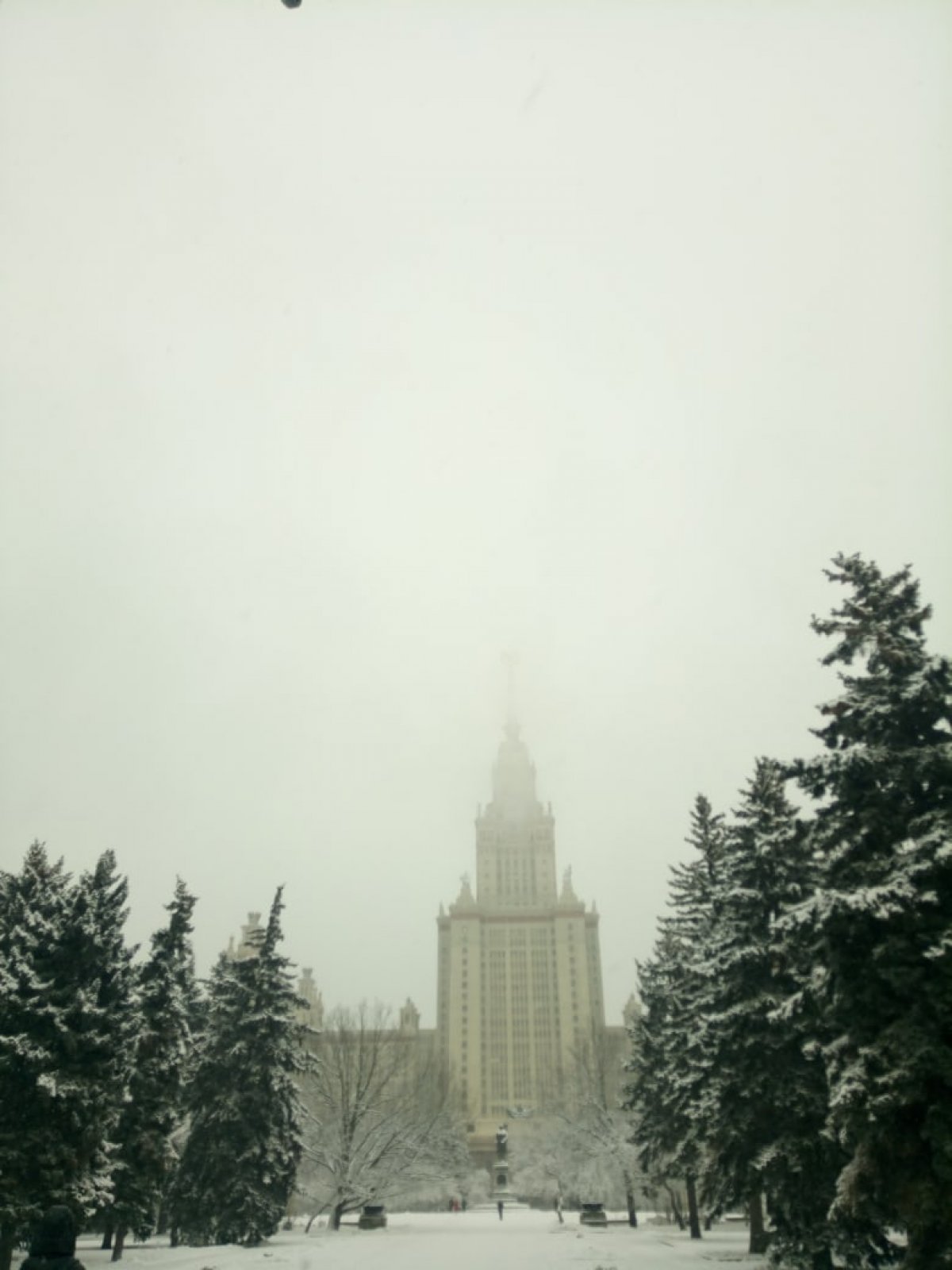 Долгожданный снег!