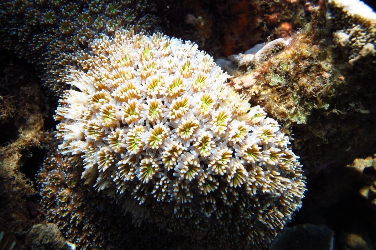  Новость от 15-01-2020