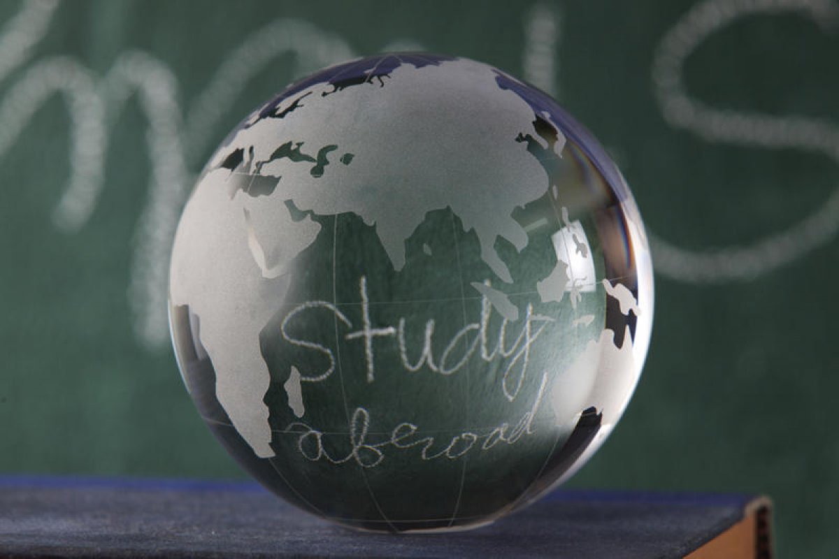 Что такое международное образование? 🕵