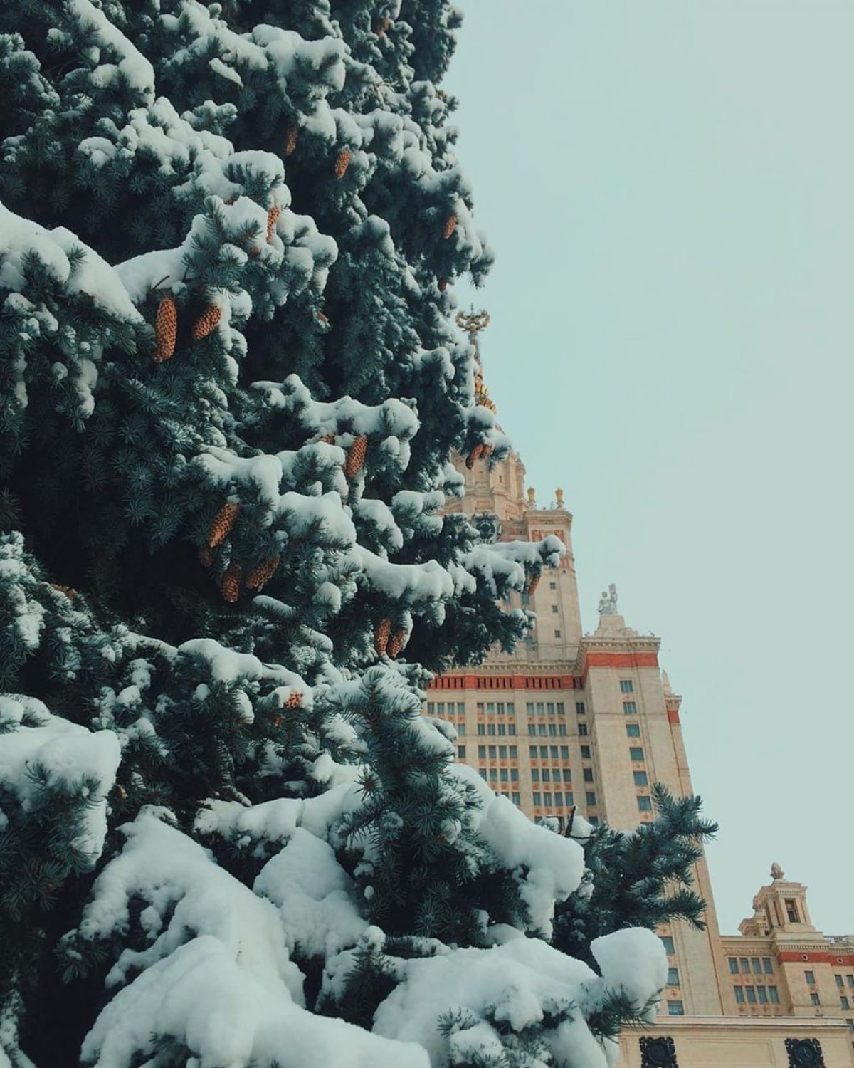 Спасибо, что присылаете нам свои снимки!