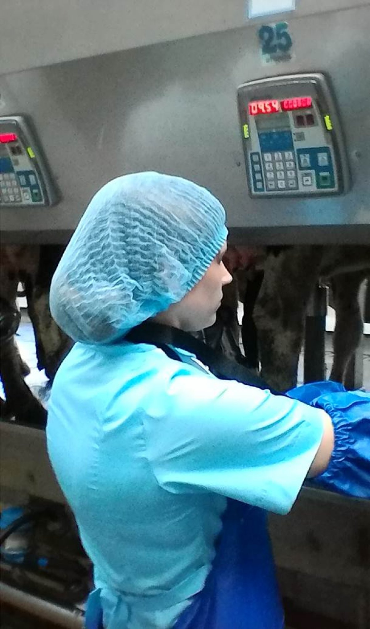 @vgmha Новость от 19-01-2020