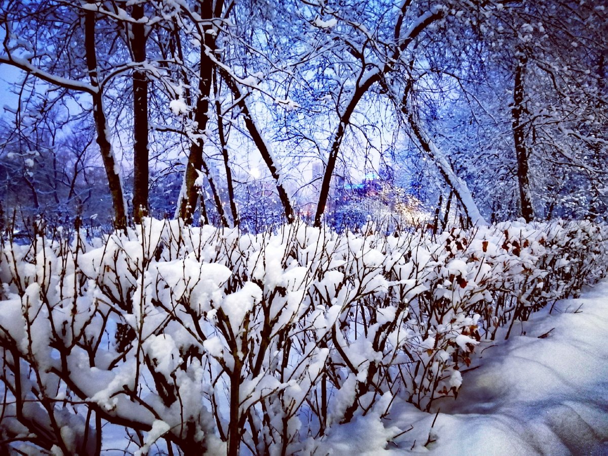 Засыпай зима. Зима природный мир. Холодный парк. Картинки Волшебная зима в Кыргызстане.