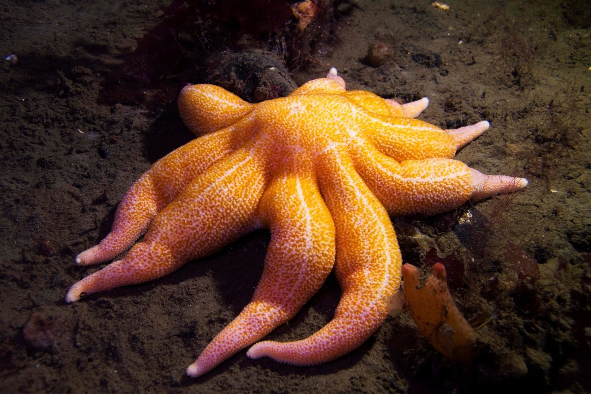  Новость от 28-01-2020