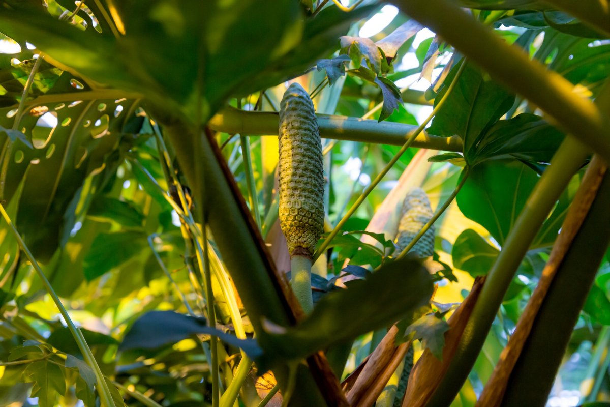 ⚡Профессор Тимирязевки поделилась секретами защиты растений на ТВ! ⚡ ⚡Профессор Тимирязевки поделилась секретами защиты растений на ТВ! ⚡