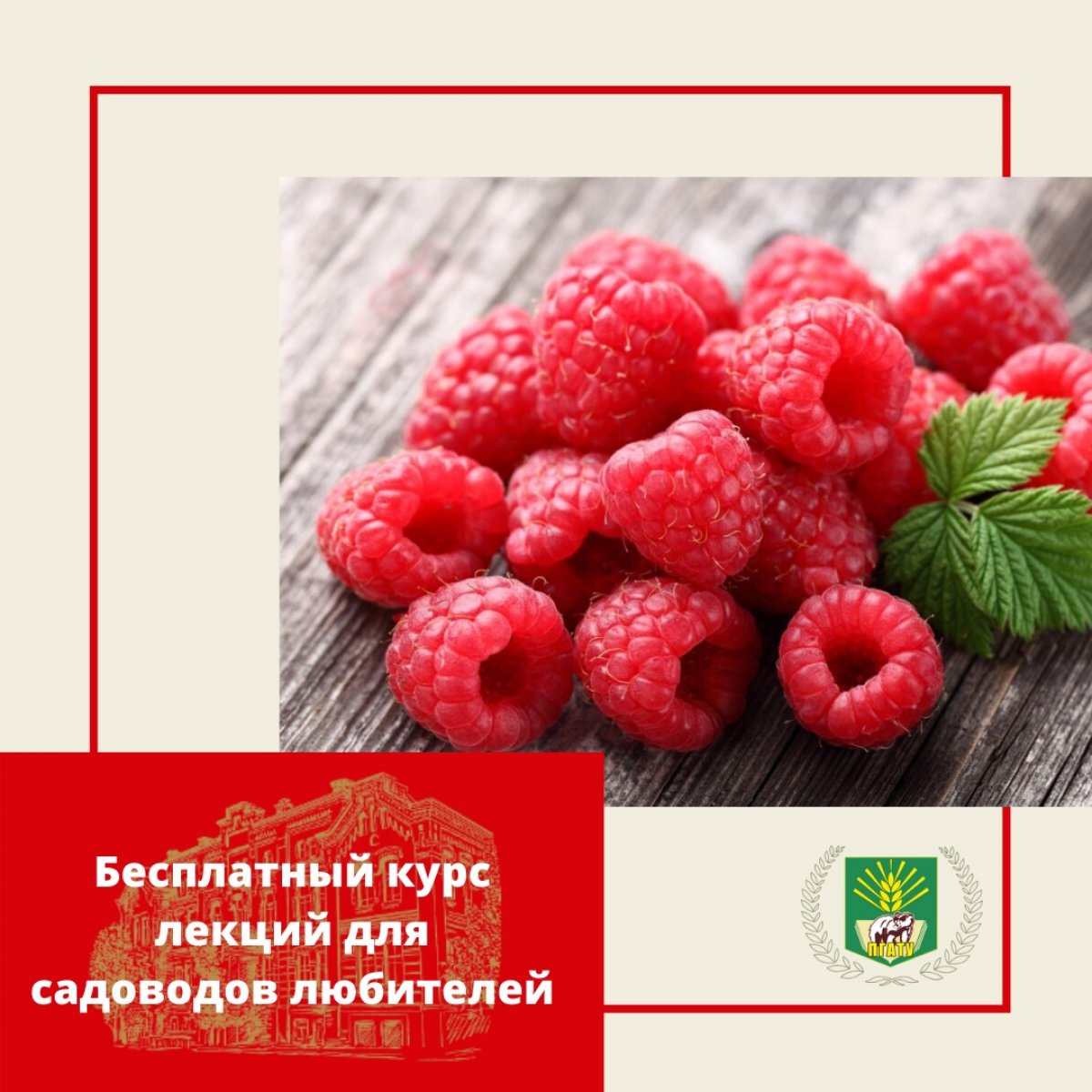 Дорогие друзья Пермского ГАТУ!